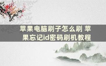 苹果电脑刷子怎么刷 苹果忘记id密码刷机教程